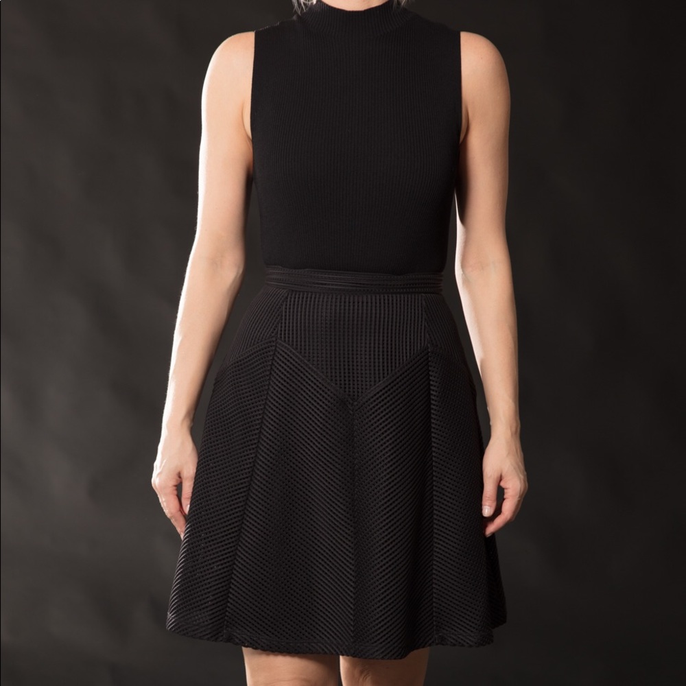 Reiss Skirt